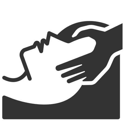 ヘッドスパアイコン